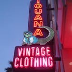 Photo of Iguana Vintage Clothing