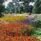 Photo of Royal Botanic Gardens, Kew