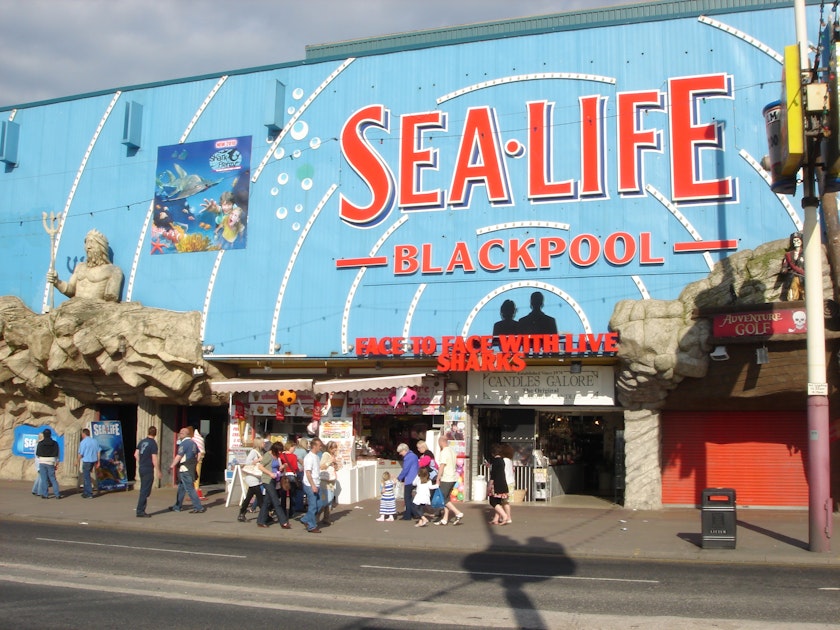 Photo of Sea Life Centre