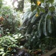 Photo of Brooklyn Botanical Garden