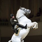 Photo of Spanish Riding School