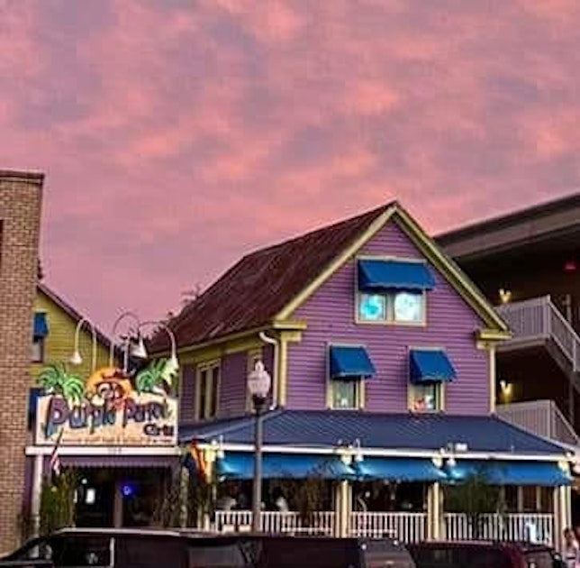 Photo of Purple Parrot Grill Beach Haus & Biergarten