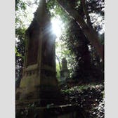 Photo of Highgate Cemetery
