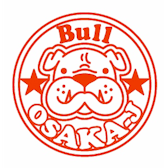 Photo of Bull Bar