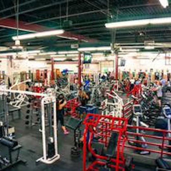 ohio Gay gyms in Porn muscle men Transsexual slave