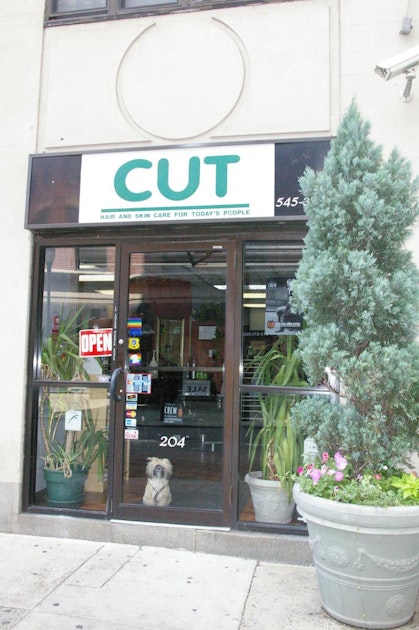 Photo of Cut Hair Salon