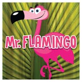 Photo of Mr. Flamingo