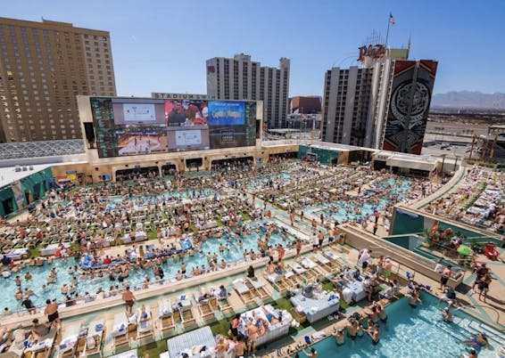 Stadium Swim, Circa Las Vegas — Pool Review