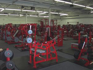 Animal House Gym reviews, photos West Allis Milwaukee GayCities Milwaukee