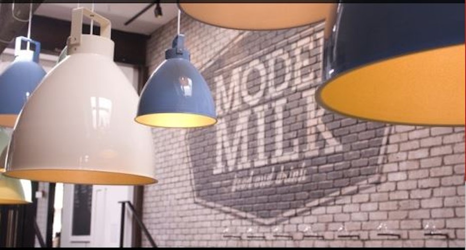 Photo of Model Milk