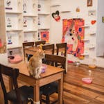 Photo of Catfetin Cat Cafe
