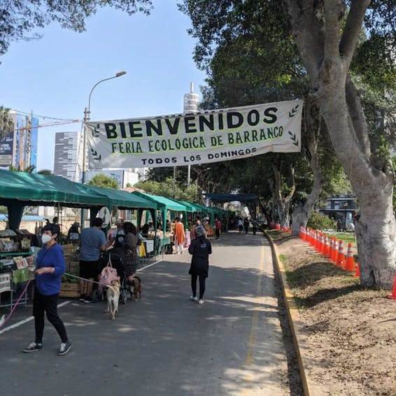 Photo of Barranco Ecological Fair